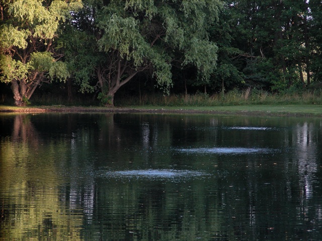 Pond Aeration